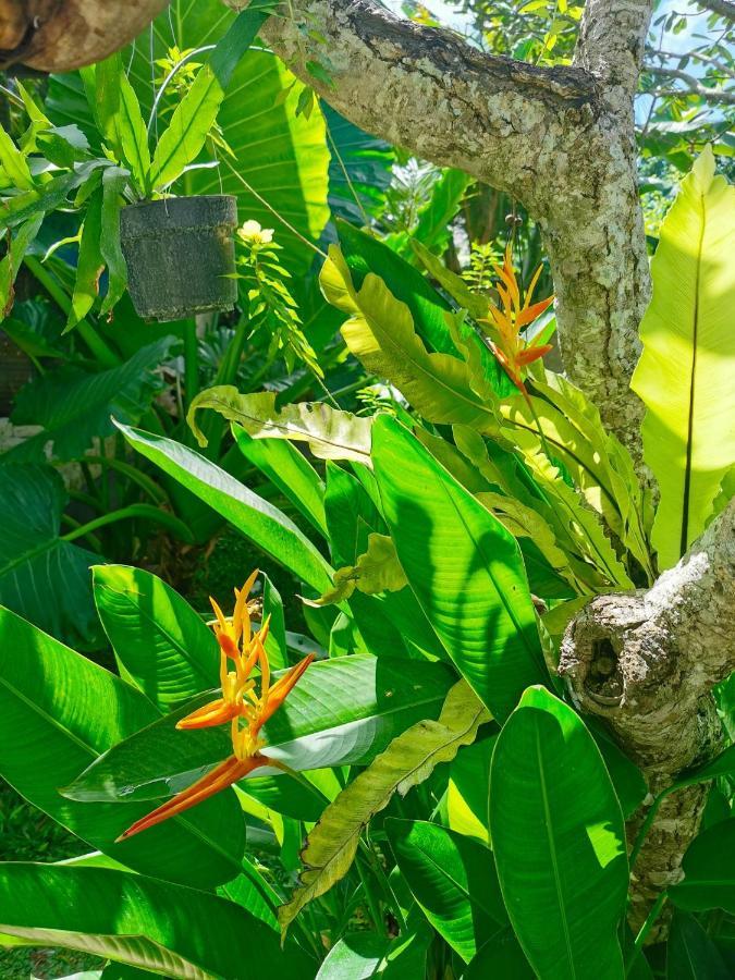 Artoria Dream Villas Bali Nusa Dua  Exteriér fotografie